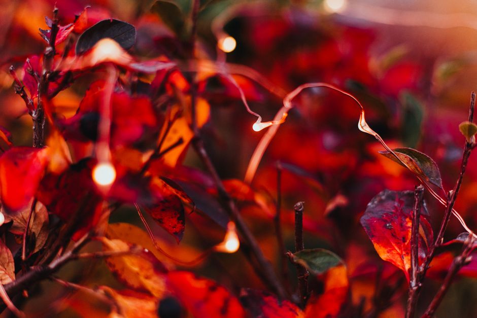Herfstlichten gemaakt van hergebruikte metaalresten Herfstlichten gemaakt van hergebruikte metaalresten